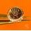 ROLEX RARE COURONNE,REMONTOIR ref 604 MONTRES ROLEX OYSTER OR JAUNE- Ø6mm Twinlock 24-604-3