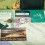 Rolex Vintage 1986 Collector Rolex Green oyster Translation booklet watches 16800,16660,16550,5513,1655,6263,6265