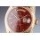 ROLEX DISQUE DATE BEIGE ARABE-PERSE MONTRES DATEJUST 1603,1608,GMT 1675/3,SUBMARINER 1680-8 cal 1525,1575,1565 Ref B7961-101-K1