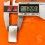 Rolex Genuine Watch Folding Top cover Shield Clasp spares jubilee bracelet Mid-Size Ref 62510HD 17mm DateJust