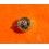 Rolex Couronne Or Jaune 704, 24-704-8, 7mm montres Submariner date or,bitons 16613,16618,16808,16803,1680/8,116613,116618