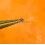 Rolex Genuine OEM Watch Movement 1030 part 6914 Sweep second pinion cal 1030,1035,1055,1056, ref 1030-6914