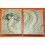 ♛♛ Rare AMAZING Vintage 70's Rolex Seahorse Slash Box & case 5513, 1680, 1675, 1665, 5512 outside box & box full set 11.00.2 ♛