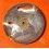 Rolex Genuine Original Vintage Mens 36mm President Day Date Champagne color Watch Dial 18238,18038 cal 3055,3155