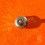 ROLEX RARE COURONNE,REMONTOIR ref 604 MONTRES ROLEX OYSTER ACIER- Ø6mm Twinlock 24-604