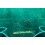 Rolex Original Large XL green suede velvet pouch traveler's holder case watches Datejust,Submariner,Gmt,Daytona,Explorer,AirKing