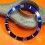ROLEX RARE INSERT GRADUE LUNETTE BLEU SUPERLUMINOVA MONTRES SUBMARINER DATE 16613,16618,16803,16808