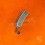 ROLEX 78360, 93150 SOLID LINK CONNECT OPENING SIDE OYSTER BRACELET WATCH PART 20MM SSTEEL ref 32-20736