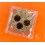 Rolex Genuine Watch part Everose Panda Cosmograph Daytona BRONZO Rose Gold Rose Chromalight Dial 116505,116515 Cal 4130