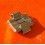 ROLEX 17mm 7205 RIVET CONNECT LINK PART BAND DAYTONA 19mm 6263,6239,6240,6241,6262 PAUL NEWMAN BRACELET WATCH PRECISION,AIRKING