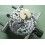 Rolex Factory watch spare 3135-310,3135-311 Barrel Genuine MAIN SPRING complete barrel Cal automatics 3135,3130