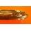 Rolex Rare vintage 70's Accessoire de collection Cendrier Marbre marron, Ashtray Cendrier Cenicero Posacenere Ref 537