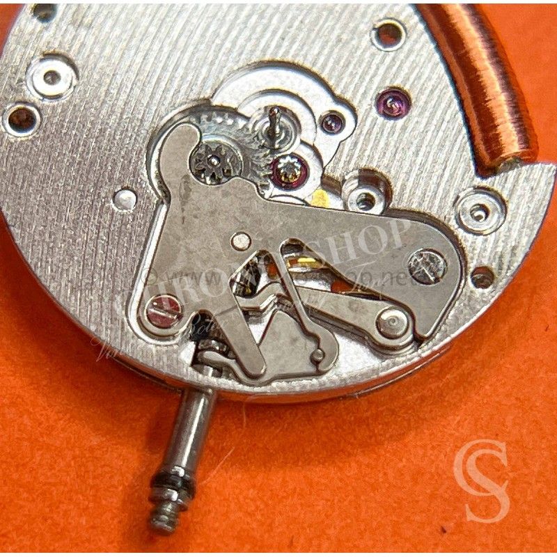 Roue De Rechange Pour Montre / Horlogerie Cattin Référence C 66 - Pièce Neuve Générique