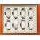 Rolex Genuine Tray 8 Slots Display Boutique Watches 14060,114060,16610,116610,daytona 16520,116500,GMT MASTER 16710,126710
