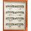 Rolex Genuine Tray 8 Slots Display Boutique Watches 14060,114060,16610,116610,daytona 16520,116500,GMT MASTER 16710,126710
