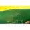 Rolex Exclusive collectible leather Green Card Holder paper documents watch guarantee 4119209.05 watches 116520,14060M,16610