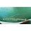 Rolex 80's collectible leather Green Holder paper documents watch guarantee 0101.40.84 watches 16800,16750,16700,14060,16520