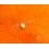 ROLEX VINTAGE GENUINE NOS TRITIUM PEARL DOT VANILLA CREAMY COLOR RARE SUBMARINER 5508,5510,6538,6536,5513,5512,1680,1665