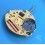 Genuine horology watch part quartz caliber ETA 901.001 tonneau-shaped quartz movement 5 ½''' x 6 ¾'''