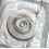 Horology Watchmaker part furniture repair, restore ETA swiss calibers spring for barrel bridge HGM 2801/2804