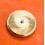Rolex watch spare 4130-315,4130-310, 4130-311 Genuine Complet Barrel Main Spring Cal 4130 Daytona 116520,116500,116518,116519