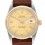 Rolex Datejust 36 Cadran Vintage Doré champagne Aspect Lin DateJust 16013,16233,16238,16018 Vintage
