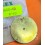 ROLEX GENUINE 1986 AMAZING CREAMY PATINA 16660,16600 WATCH PART TRITIUM DIAL SEA-DWELLER CAL 3035,3135