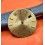ROLEX GENUINE PREOWNED WATCH PART SPARE VINTAGE GOLD DIAL DATEJUST 16233,16013,16238 Cal 3035,3135