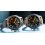 Breguet Rare Limited Manual, booklet, pamphlets Breguet wristwatches Titanium 3815 Ref 3815TI/HM/3ZU