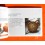Rolex 2013 Cosmograph Daytona watch English booklet,manual 116509,116515,116518,116519,116520,116523,116528,116568