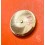 Rolex watch spare 4130-315,4130-310, 4130-311 Genuine Complet Barrel Main Spring Cal 4130 Daytona 116520,116500,116518,116519