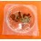 Rolex Furniture watch part New various Ssteel screws for Rolex auto cal 1530,1520,1570, 3035, 3075, 3135, 3185