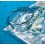 ROLEX SUBMARINER WATCHES 5512, 5513, 5514, 5517, 5510 SERVICE CRYSTAL PLEXIGLAS TROPIC 19 FACTORY DOMED
