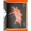 ROLEX Incredible collectible watches colorful book : Exploration Perpetual Spirit Magazine catalog,very rare
