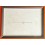 Original Rolex Watch Tray Latest Current Model Watch Jewellery Dealer Tray Watches Display Vassoio Plateau