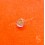 Rolex Original vintage 70's preowned dot pearl tritium creamy Submariner 5508,5510,6538,6536,5513,5512,1680,1665