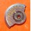 Breitling vintage steel oscillating weight 37 jewels Swiss Automatic ETA 2892 caliber Genuine vintage NOS