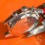 Ollech & Wajs Mirage III chronograph Valjoux 7750 Carrure boitier 40mm fond acier rare fourniture horlogère