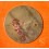 Zenith Extremly rare Collectible Zodiac Astrology Beige watch dial part 22mm for sale ladies watches