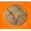 Zenith Extremly rare Collectible Zodiac Astrology Beige watch dial part 22mm for sale ladies watches