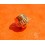 Rolex Yellow Gold screwed pusher screw-down push-piece button pusher 6263,6265,16523,16528,116528,116528