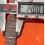 Gucci authentique bracelet alligator 18mm couleur taupe montres dames avec boucle ardillon acier
