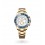 Rolex fourniture horlogerie Râteau Calibre 4160 Ref 4160-926 Montres Yacht-Master II 116681, yacht- Master 116680, 116688