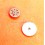 Pièces horlogeries Calibre Sellita SW 200-1 roues références 1-1482 et 1-1530
