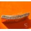 Rolex 93150 Vintage 1987 Top Cover Shield Buckle Clasp part 20mm Bracelet Part Submariner 5512,5513,1680,1665,16800,168000