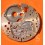 Venus 178 watch part mainplate Caliber 178 chronograph Venus 178 chronograph vintage watch Breitling Navitimer 806