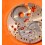 Venus 178 watch part mainplate Caliber 178 chronograph Venus 178 chronograph vintage watch Breitling Navitimer 806
