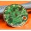 ZODIAC Guardsman automatic vintage Cadran de montres couleur vert chiffres romains
