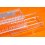 Rolex transparent sliding plastic Storage tools spares Cal 1520,1530,1580,1570,3135,3035,4130,1225 accessories Case box
