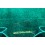 Rolex Original Large XL green suede velvet pouch traveler's holder case watches Deepsea,Submariner,Gmt,Daytona,Sky-Dweller